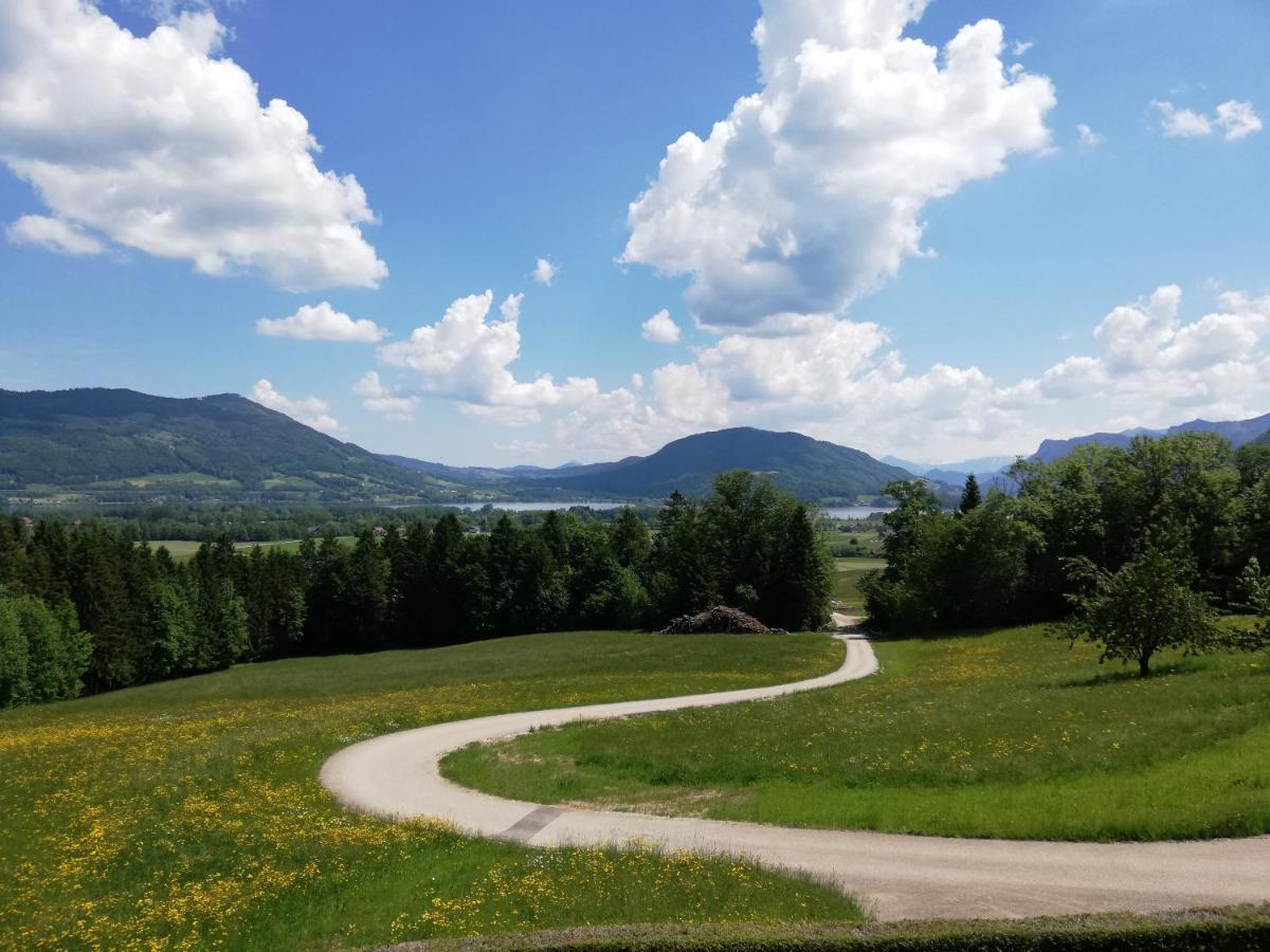 Am Mondseeblick Extérieur photo